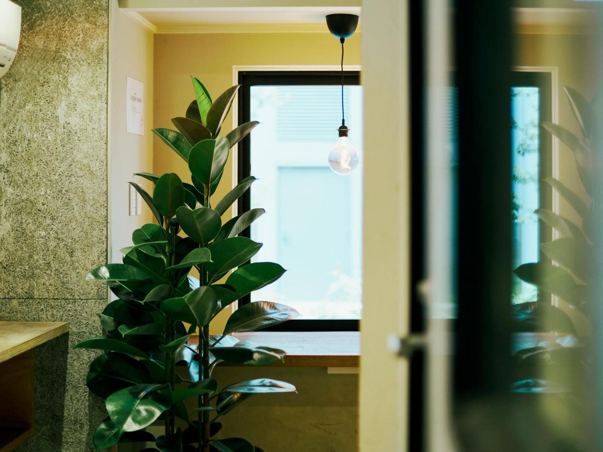 Akasaka Guesthouse Hive Tōkyō Extérieur photo